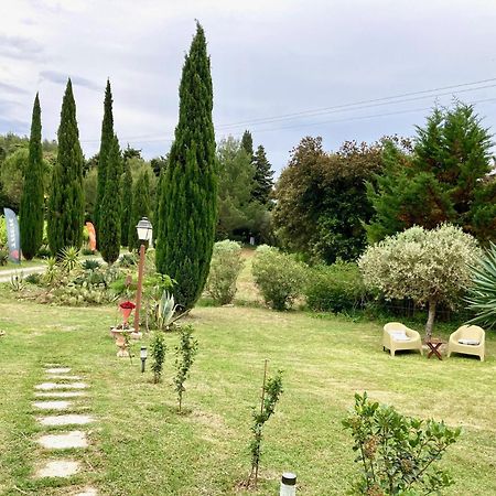 Domaine Des Lavarines Morieres-les-Avignon Екстериор снимка