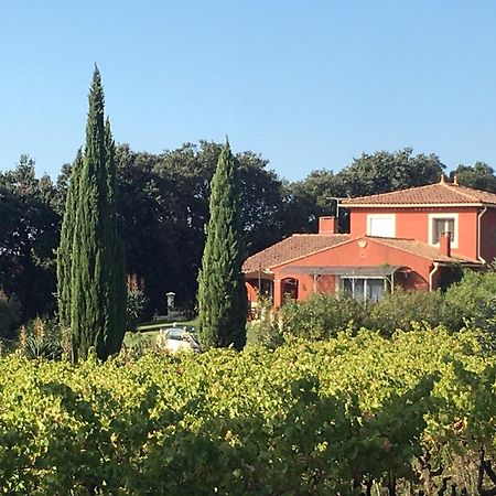 Domaine Des Lavarines Morieres-les-Avignon Екстериор снимка